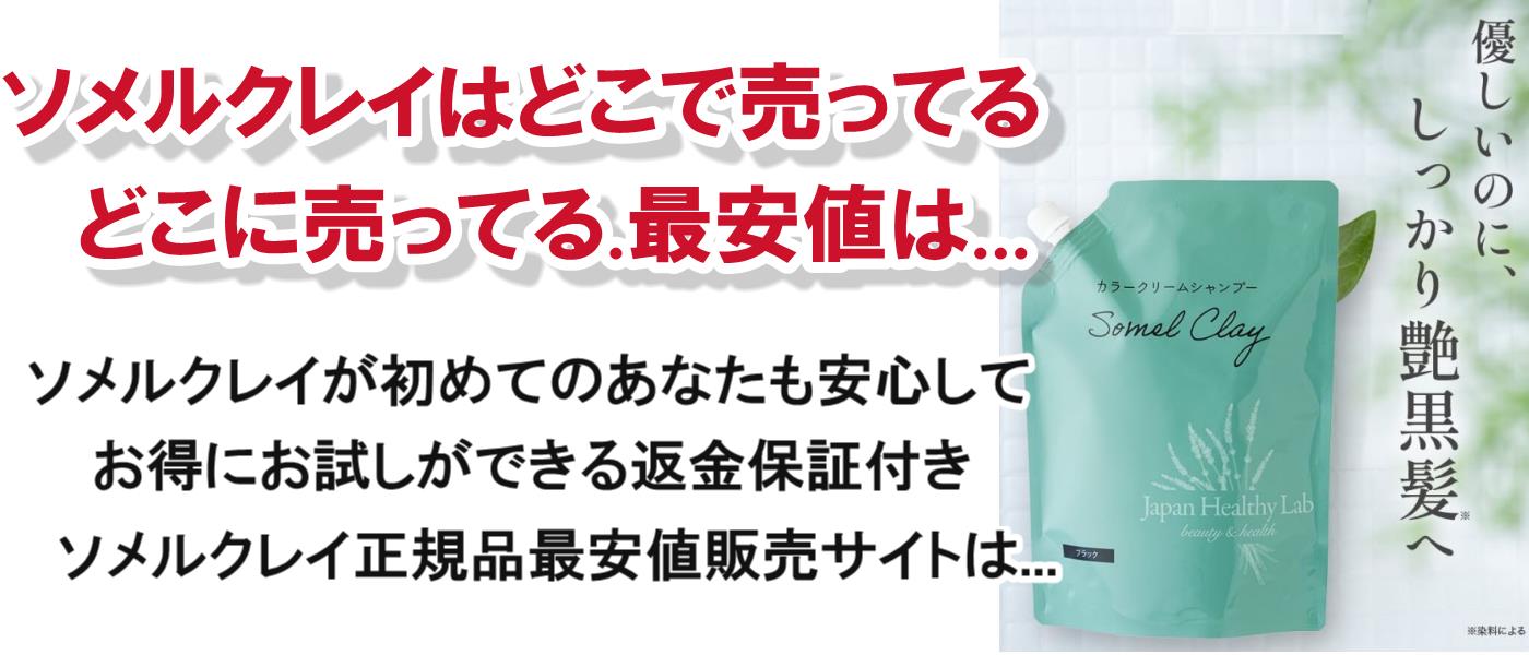 ソメルクレイはどこで売ってる.どこに売ってる.最安値は…